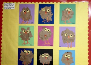 owls