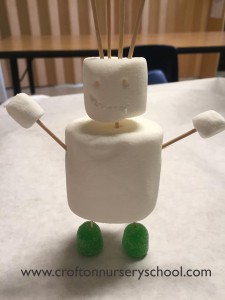 stem2_web